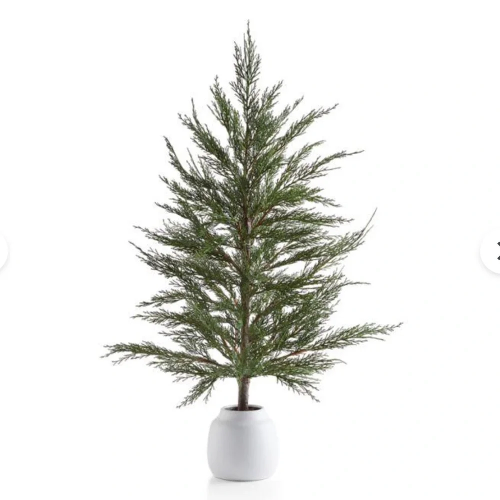 Crate & Barrel, Faux 33” Cypress Tree in White Pot
